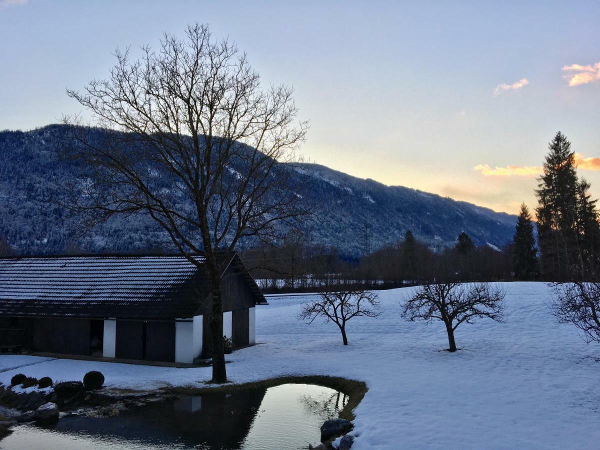 Assingerhof Apartment Sankt Stefan an der Gail ภายนอก รูปภาพ